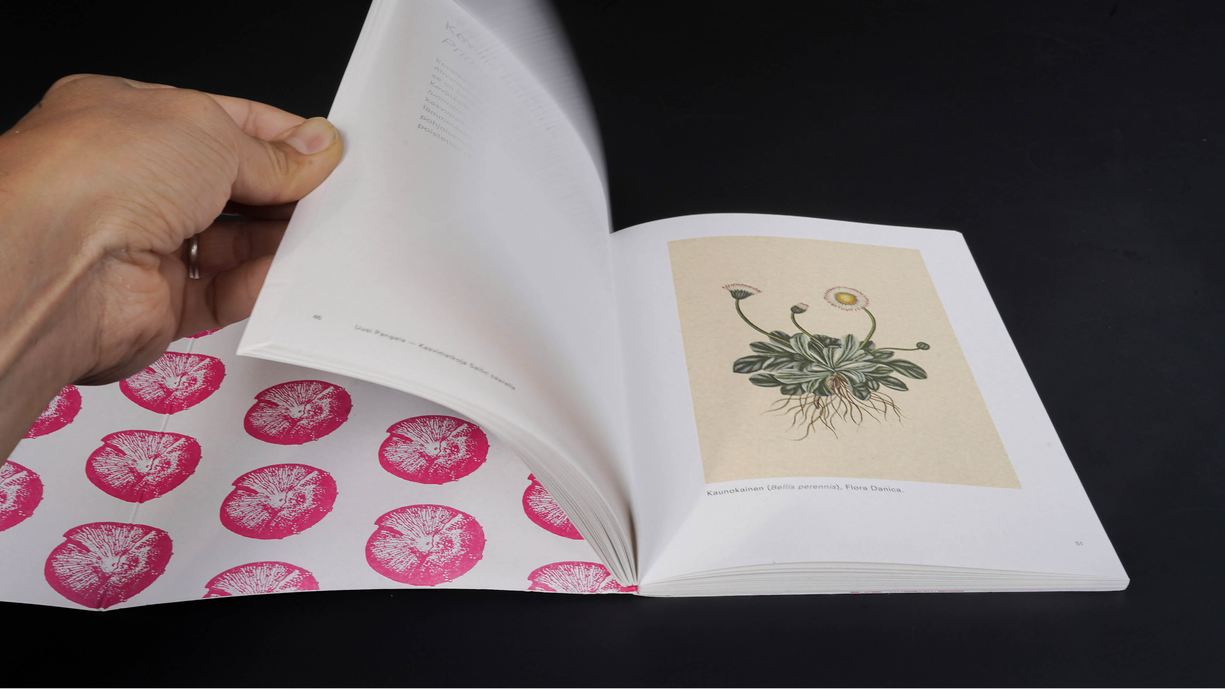 CAA—Contemporary Art Archipelago. Book design.